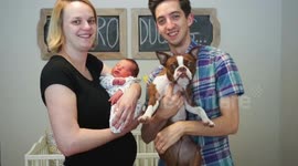 Nine months in minutes - pregnancy timelapse