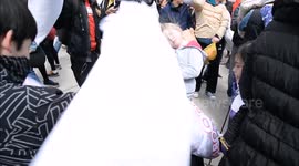 International Pillow Fight Day at Toronto City Hall.