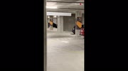 temp