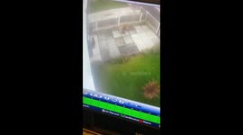 Falling over the plantpot