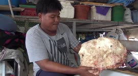 Fisherman finds 7kg piece of whale vomit that could sell for $230,000