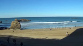 Spring in the middle of winter !