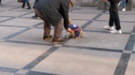 Obedient dog stays in circle that Chinese owner puts on ground