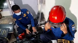 Fire department called to wasp nest removal in Jakarta
