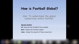 Missing parrot reunited with owner after flying into teen's bedroom during lesson