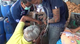 Worker rescued after getting hand stuck in coconut peeling machine