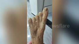 Foot-shaped Chinese yam spotted in central China