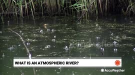 What is an atmospheric river?