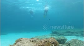 Snorkel in Formentera