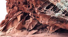 Man stumbles upon unusual lace-rock in the middle of Arizona's desert.