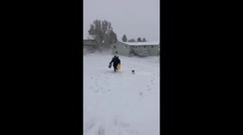 Sledding with my pup