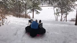 Big guy sledding and chasing my cockapoo downhill