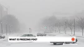 How freezing fog forms and the dangers it poses