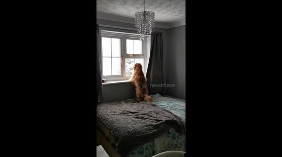 Mum, mum it's snowing!!