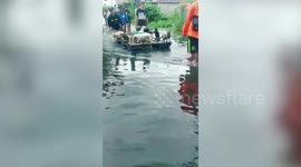 Stray cats carried to safety during floods in Indonesia