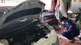 Cobra found in family’s car before escaping into a shoe cabinet