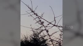 Moment rare 'comet' is spotted flying over Staffordshire town