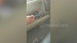 Forest officials rescue small python from car glove compartment in north India