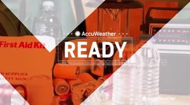 Tips to prevent your Christmas tree from catching fire