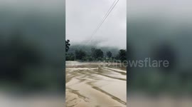 Brave Dog Paddles Across Flowing Dam To Reach Safer Ground
