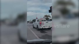 Adorable Cat Chills In Pickup Truck WIth Arms On The Edge