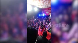 Dog gives birth to 5 puppies, prompts celebration from 12 neighbouring villages