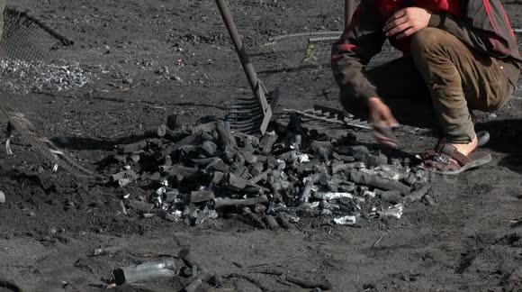 Adapting to shortage, Gazans turn wood into charcoal