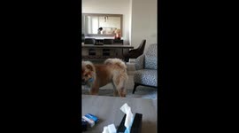 Amber and the bottle