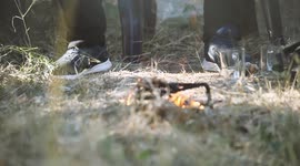kettle of tea in the Palestinian nature on a quiet fire
