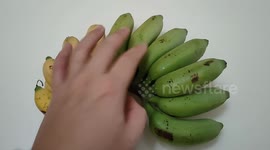 Totally uneven ripening's banana -Super green and yellow comparison