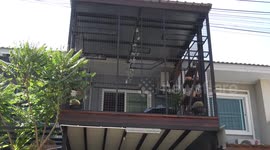 Cat lover builds incredible wrap-around home extension for her moggies