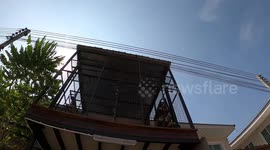 Walk around this incredible home extension a cat lover built for her pets