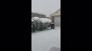 temp