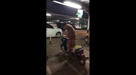 Dog chills on parked motorcycle