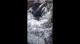 Kid swimming At river