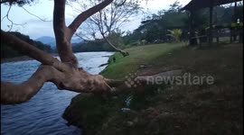 Kid swimming At river