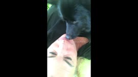 Silly dog does not understand social distancing. Six feet - NO WAY!!