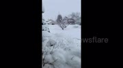 temp