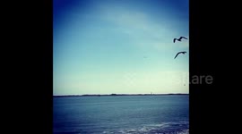 SpaceX Starship SN9 test flight ends with explosion at Texas landing pad