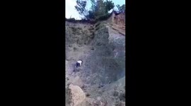 Lost dog rescued from hillside in the Philippines