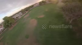 Hawk attacks my drone