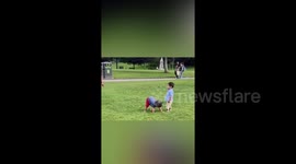 UK kid tumbles in solidarity with fallen baby friend is the most pure thing you need today