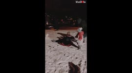 Sledging woman stays on ramp even though pushed too had by her son-in-law
