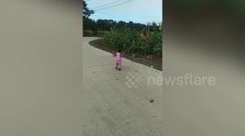 Toddler has mystery disease causing huge tumour under her chin