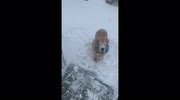 temp