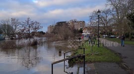 Guy cycles with ducks in busted river bank