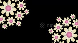 Flowers Rotation in Circle on black background