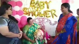 Couple throws baby shower for pregnant pet dog in southern India