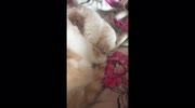temp