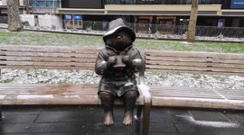 Paddington Bear Gets Covered In Snow 